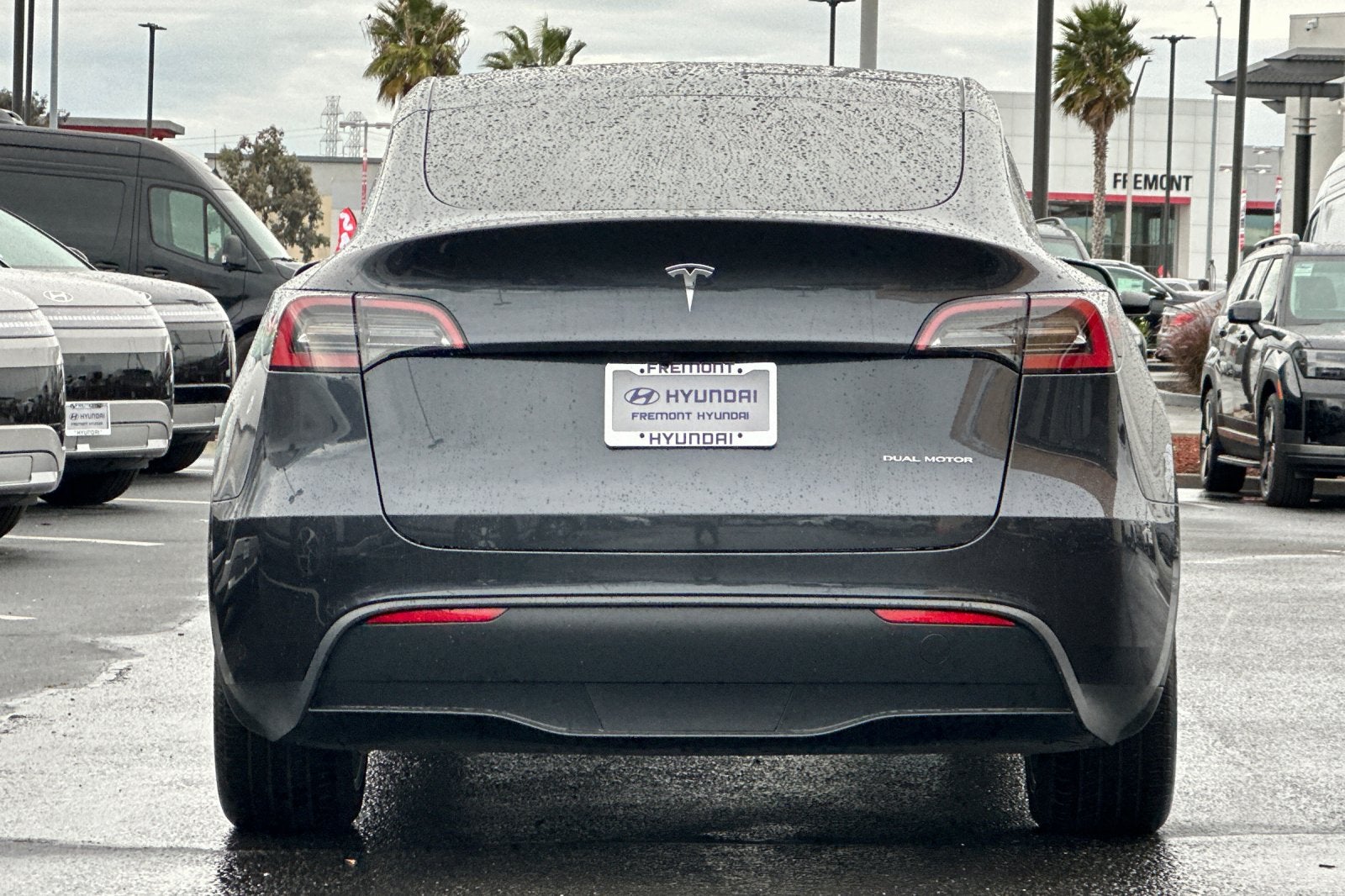 2024 Tesla Model Y Long Range