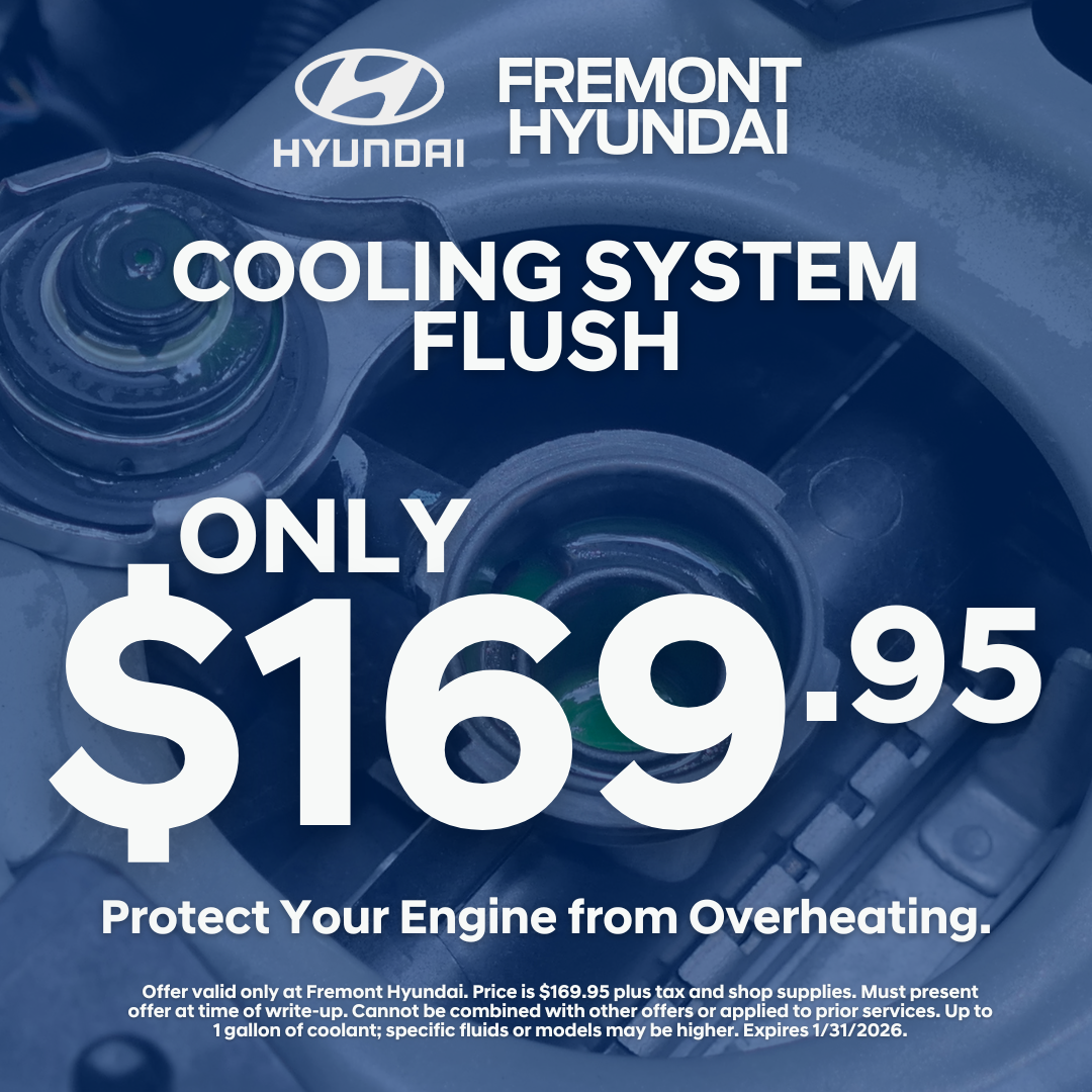 Cooling System Flush